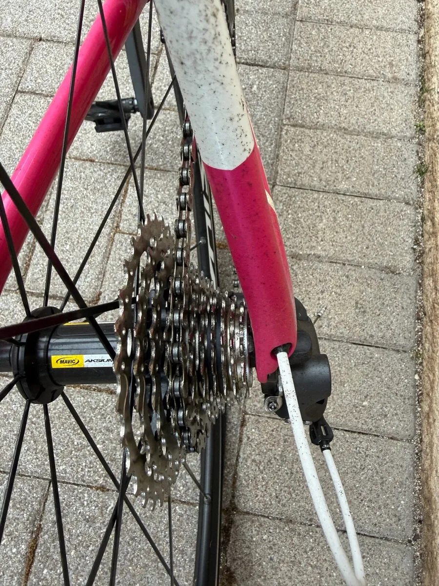 Ladies racer - Image 4