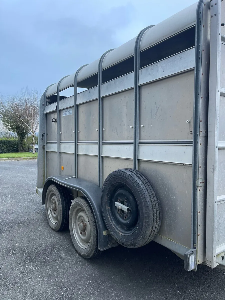 10ftx5 IFOR Williams Like New - Image 2