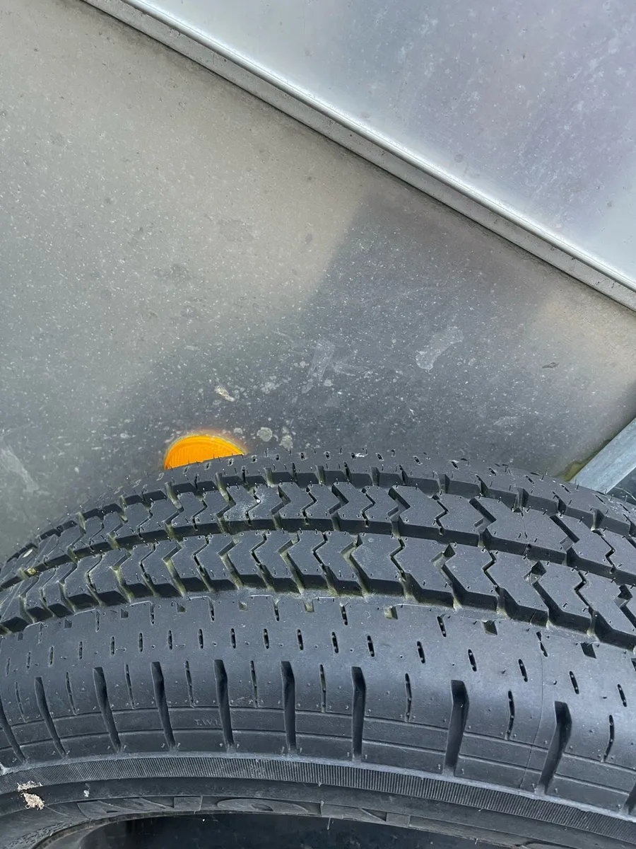 10ftx5 IFOR Williams Like New - Image 3