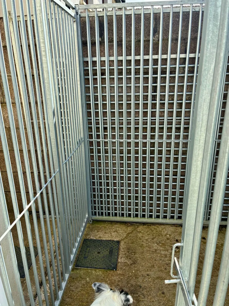 3x2m Galvanised Dog Run Kennel 5cm bars, 2 Doors - Image 4