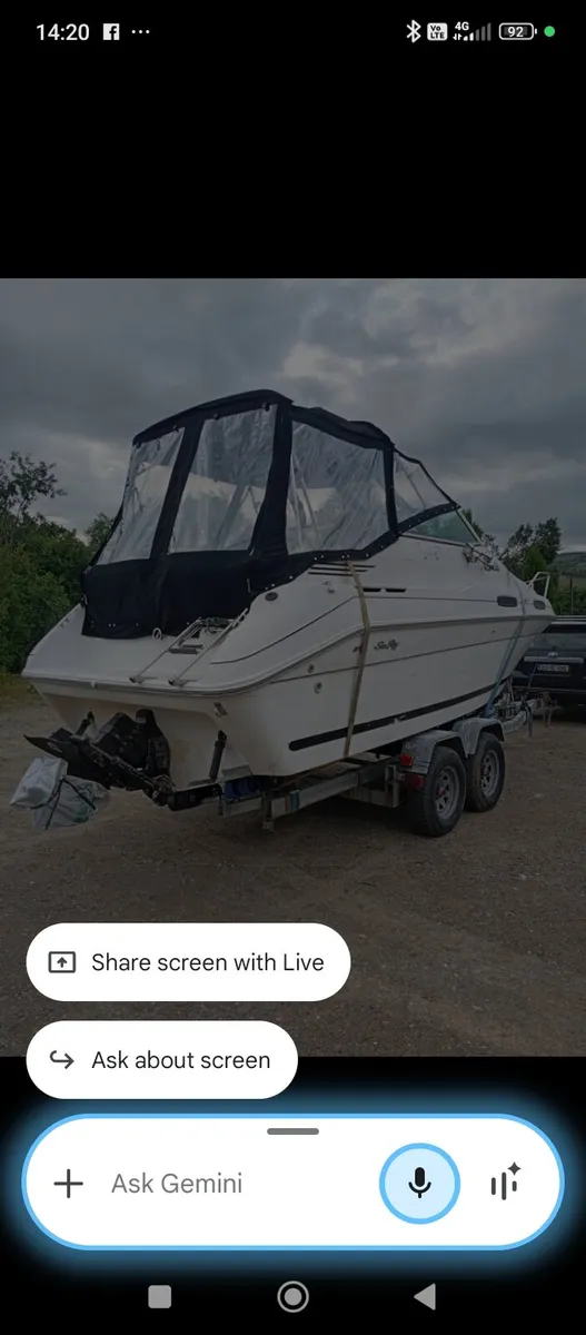 Searay 23 foot cruiser and trailer - Image 3