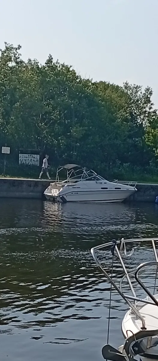 Searay 23 foot cruiser and trailer - Image 1
