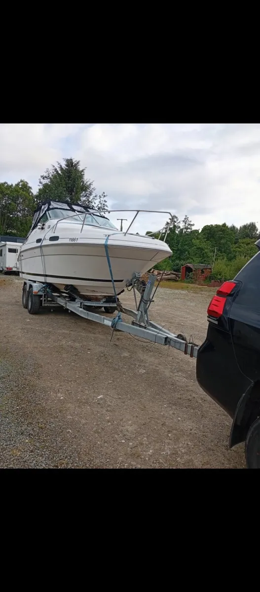 Searay 23 foot cruiser and trailer - Image 2