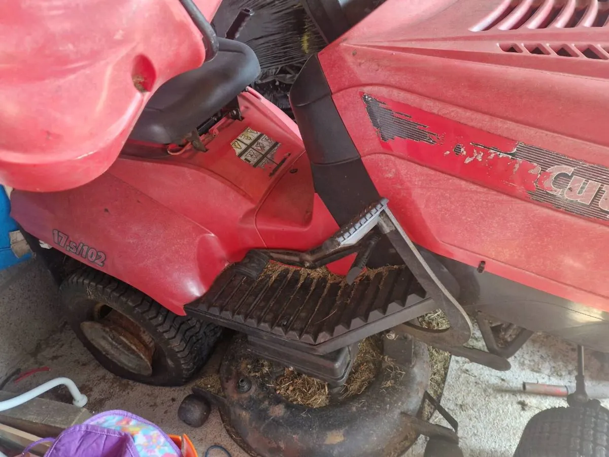 Castlegarden lawnmower - Image 1