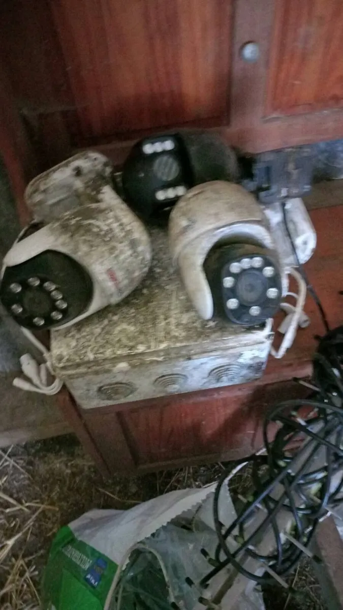 Calving/Lambing Cameras 📷 - Image 4