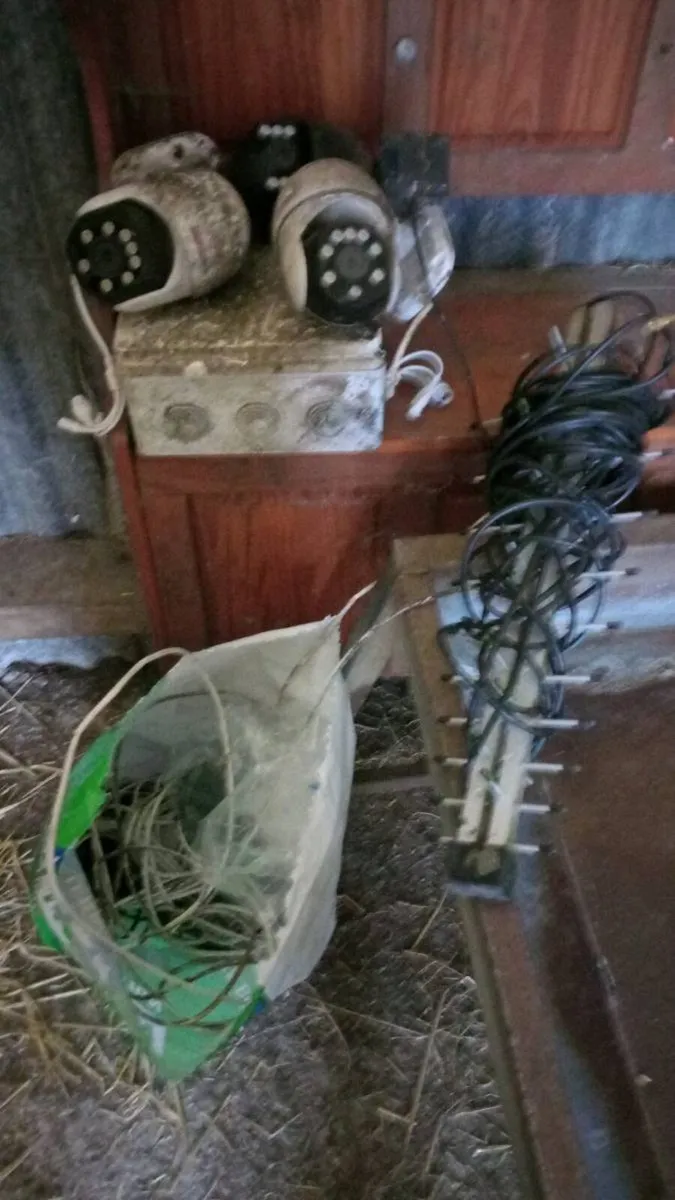 Calving/Lambing Cameras 📷 - Image 1