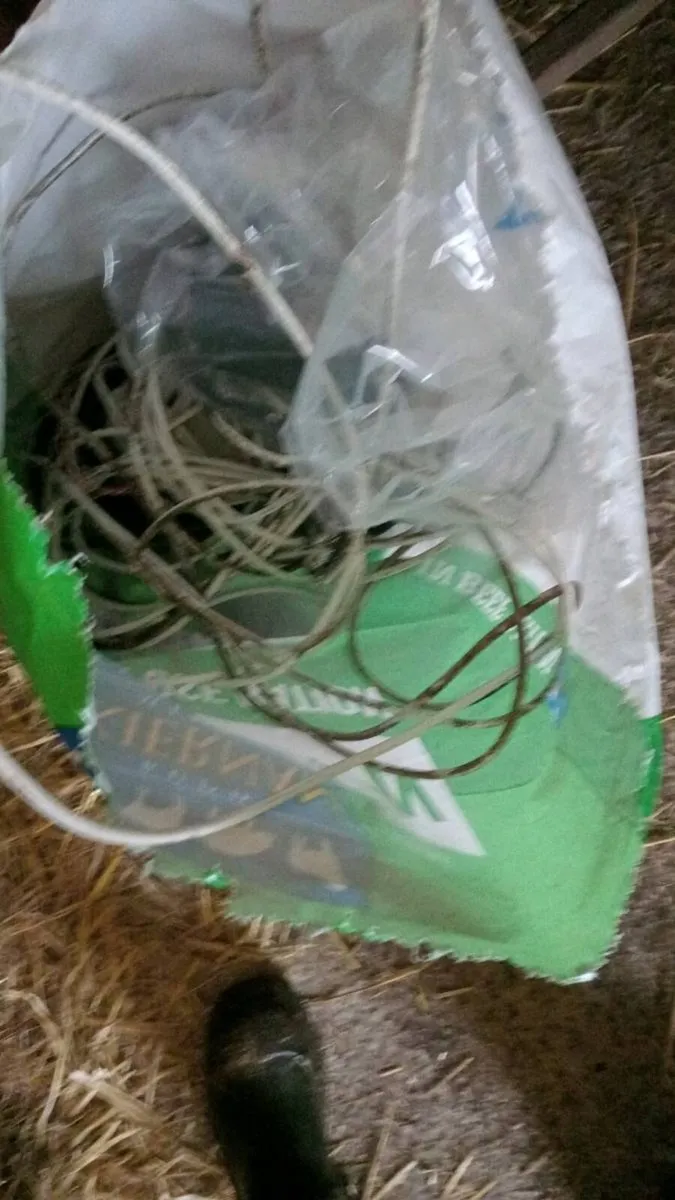 Calving/Lambing Cameras 📷 - Image 2