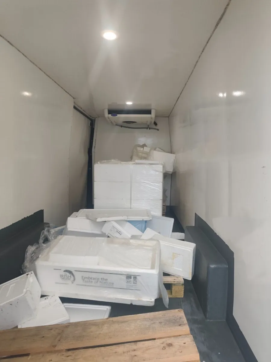 241 vw crafter - Image 3