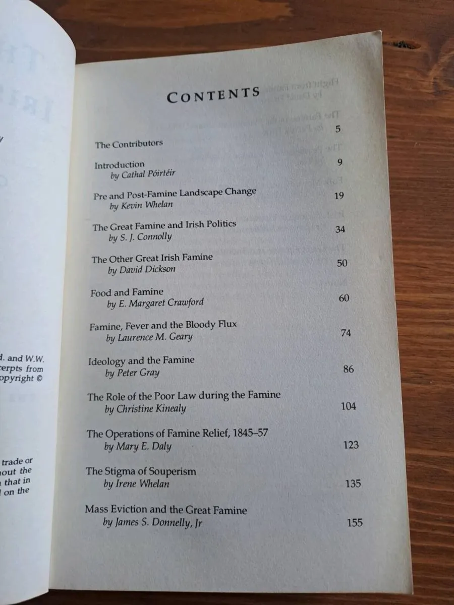 The Great Irish Famine Cathal Poirteir - Image 4