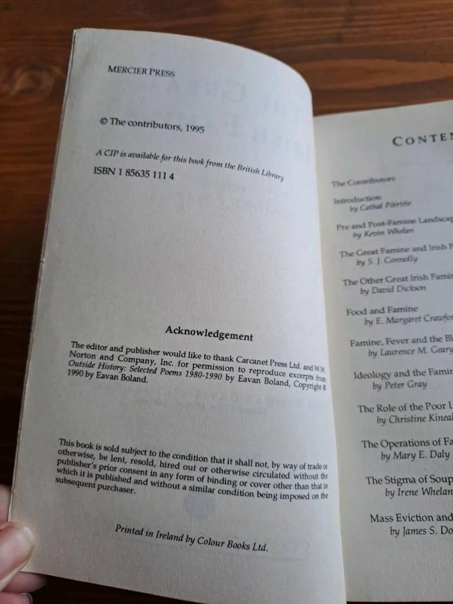 The Great Irish Famine Cathal Poirteir - Image 3