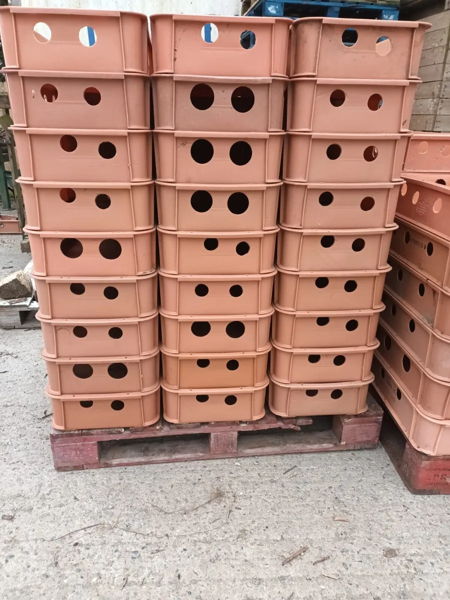 Storage Trays - Image 1