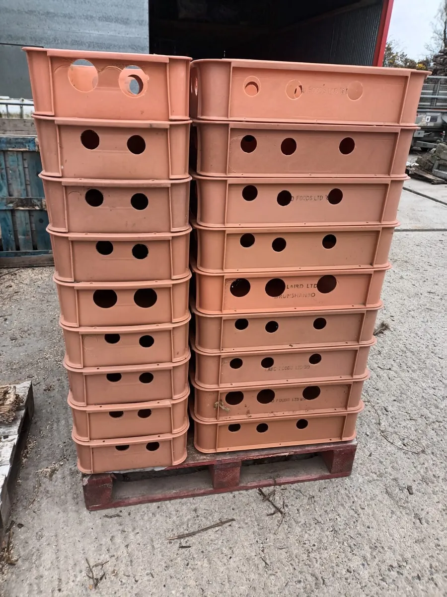 Storage Trays - Image 2