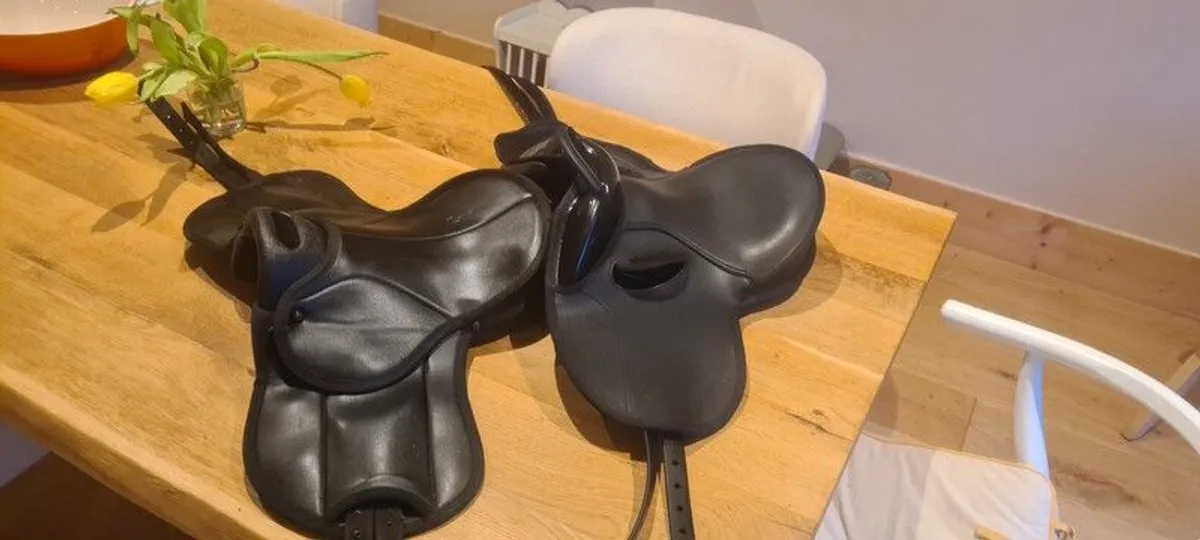 saddles - Image 2