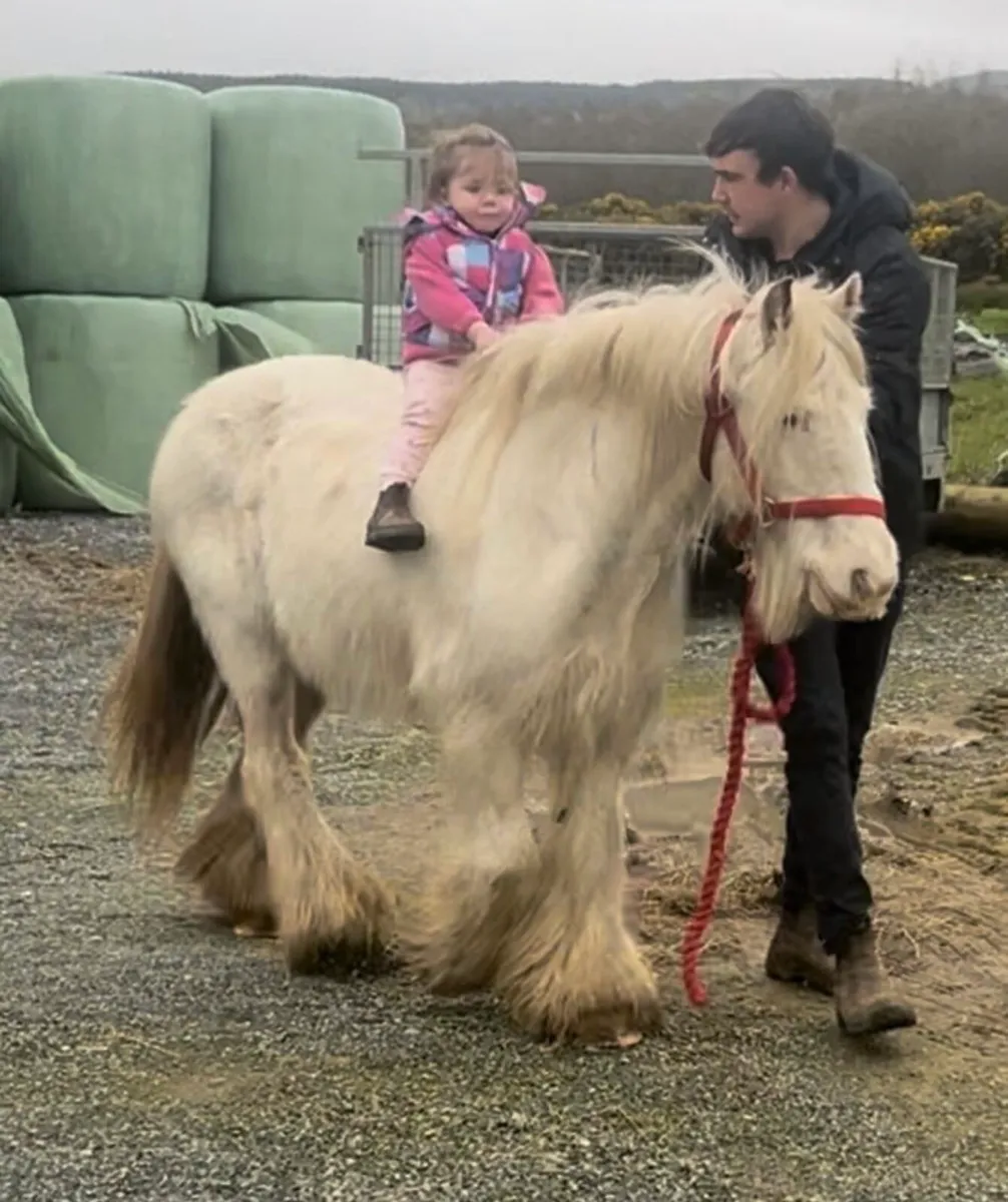 👸Bella 👸 - Image 1