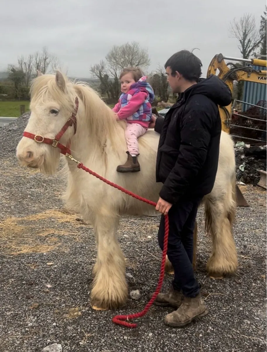 👸Bella 👸 - Image 2