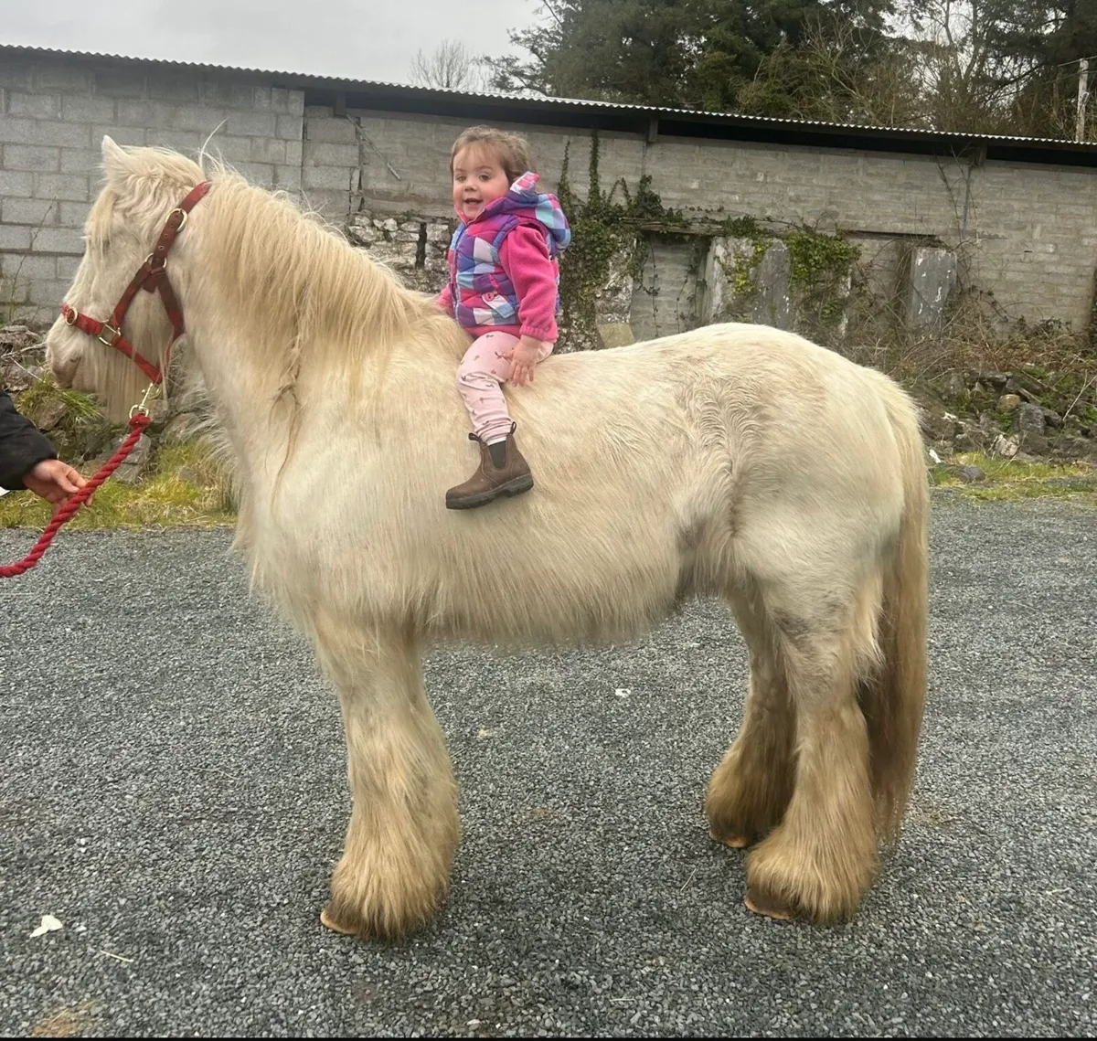 👸Bella 👸 - Image 4