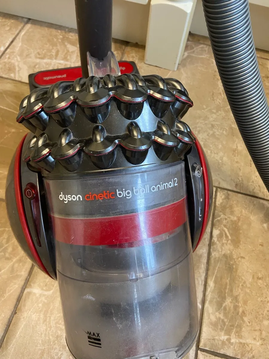 Dyson. Big. Ball. Animal. 2. Vacuum. Cleaner - Image 2