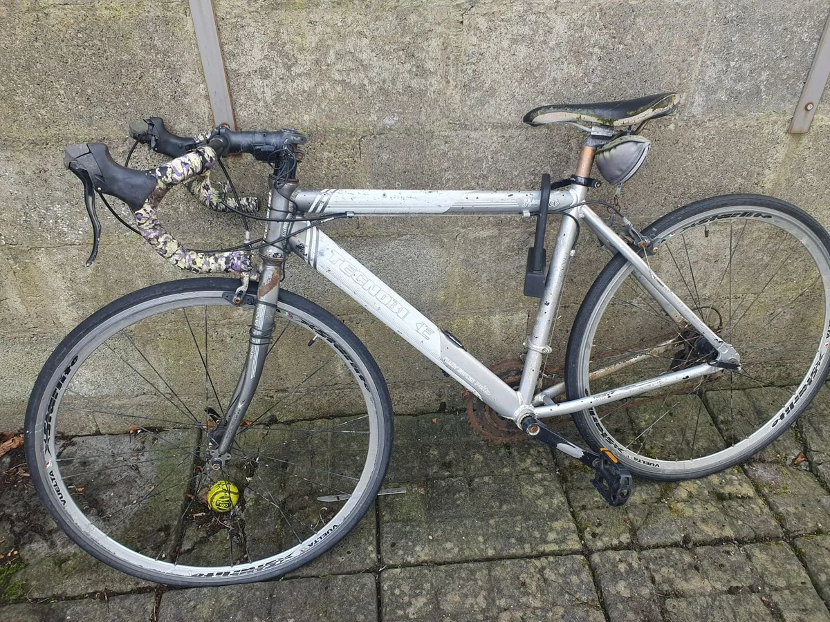 Adult Bike - Image 1