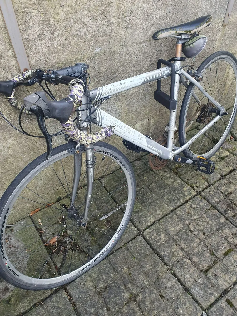 Adult Bike - Image 2