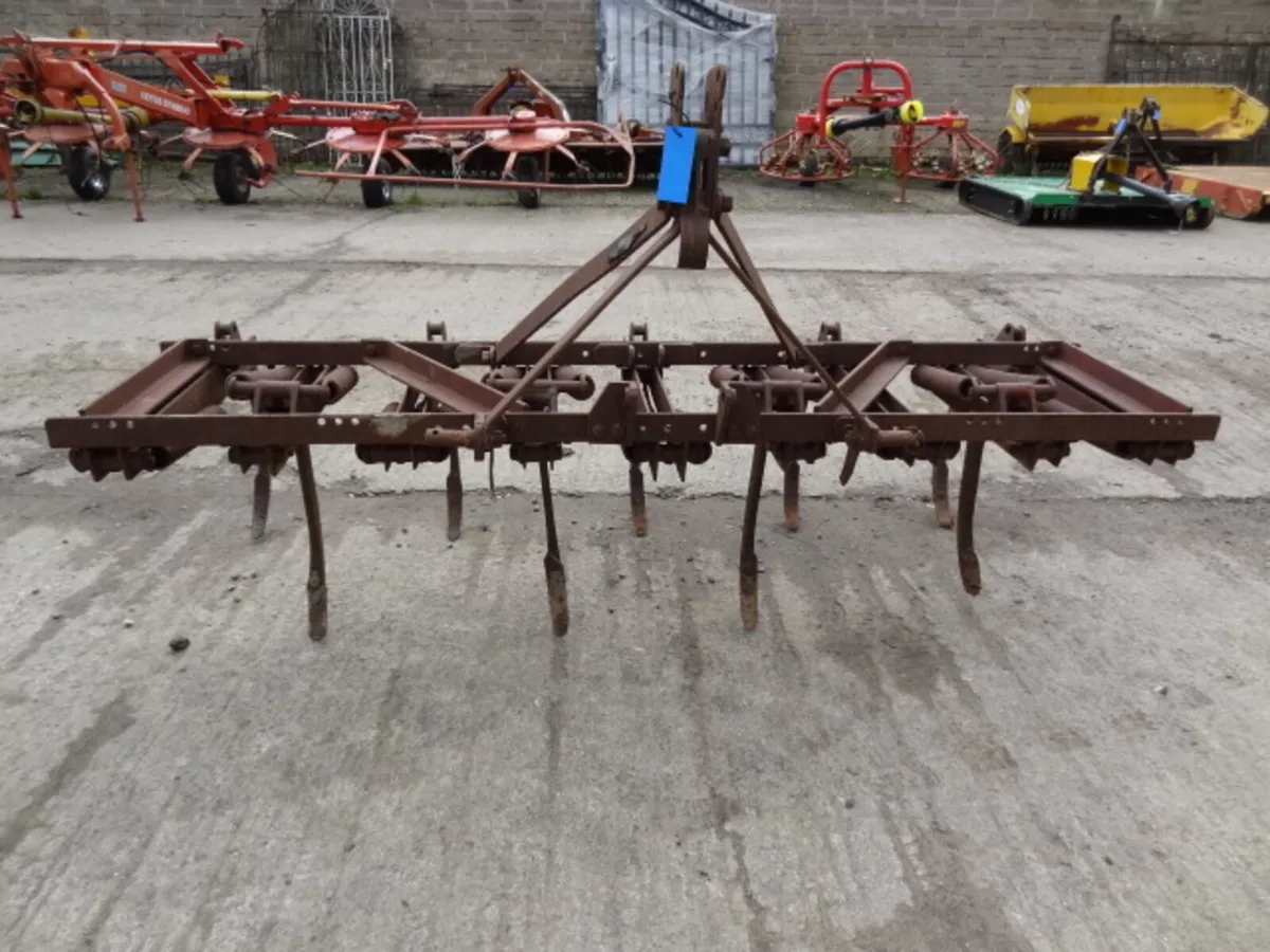 Springtine Grubber - Image 2