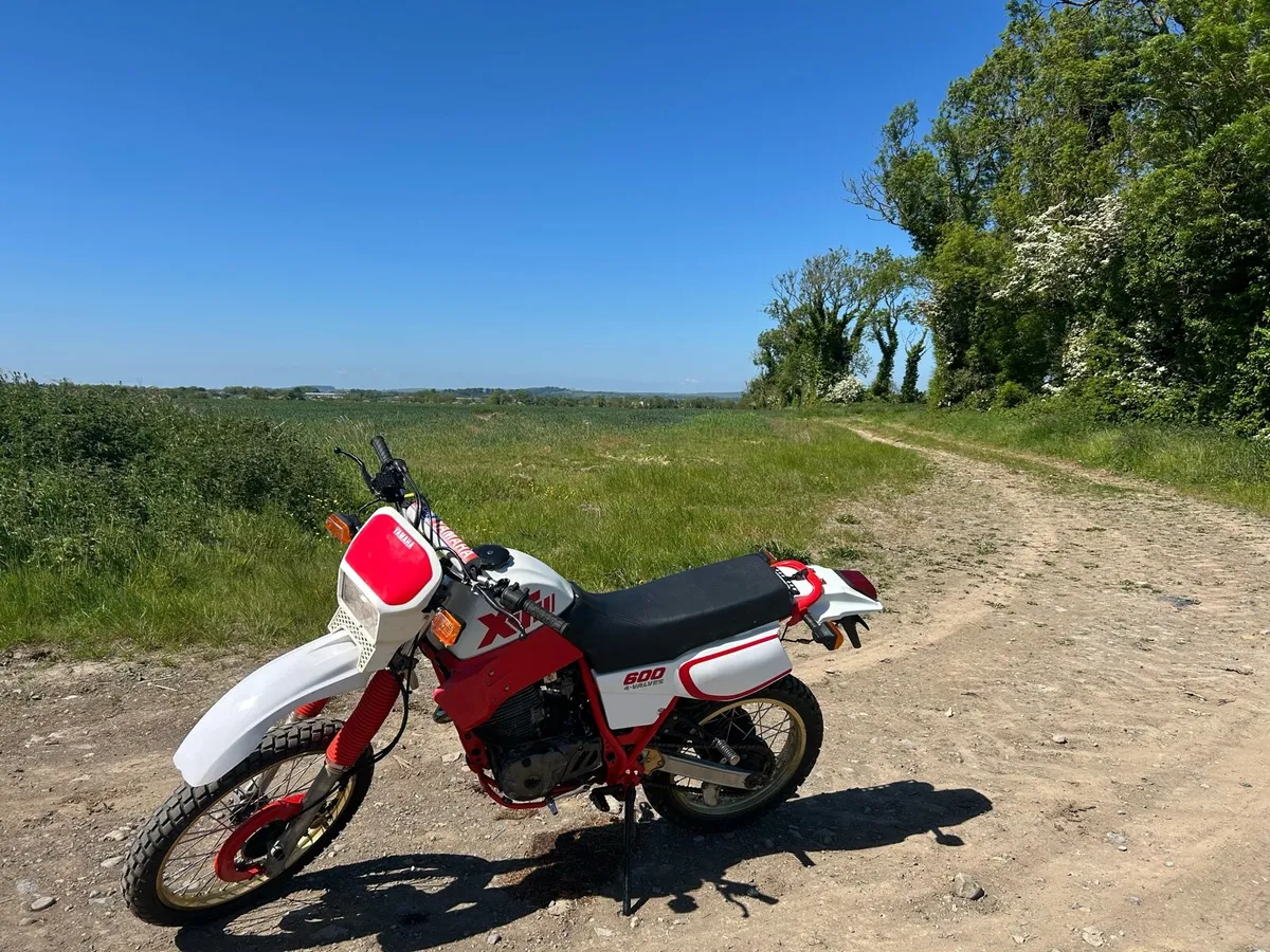 Yamaha xt600 2KF - Image 2
