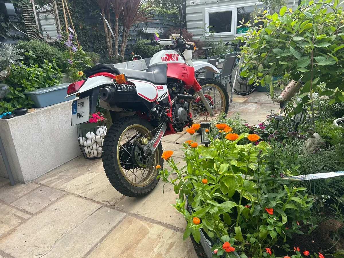 Yamaha xt600 2KF - Image 4