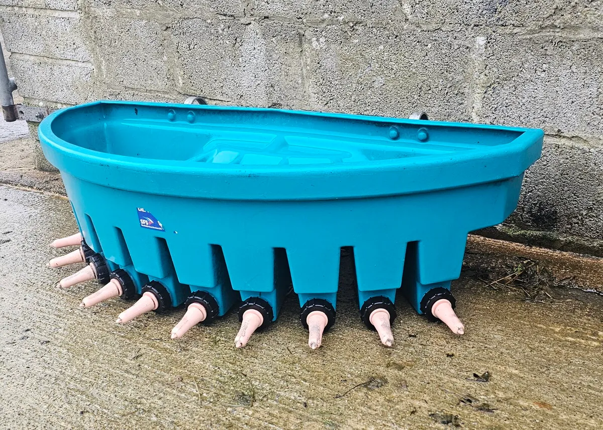 Compartment Calf Feeder With Peach Teats - Image 2