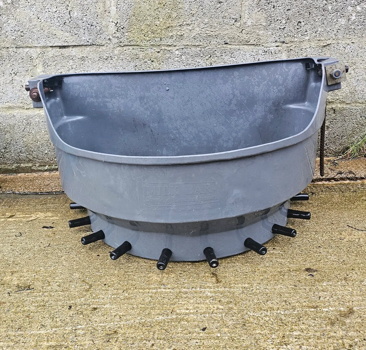 Compartment Calf Feeder With Peach Teats - Image 4