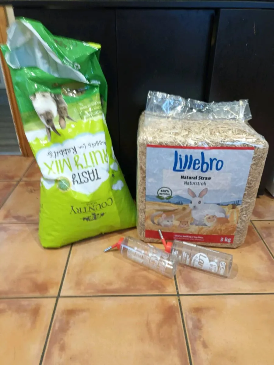 Full set up - Image 4