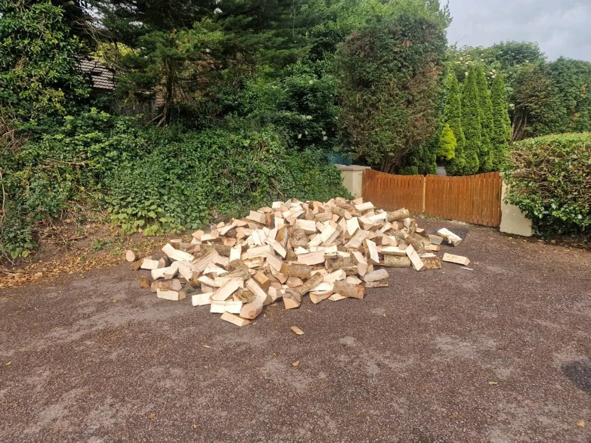 Firewood - Image 4