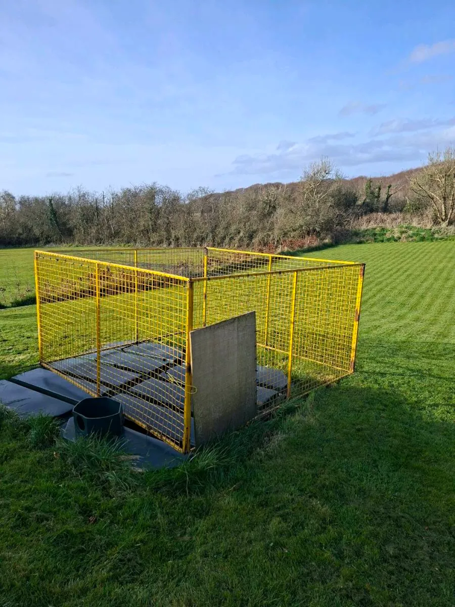 Chicken run - Image 1