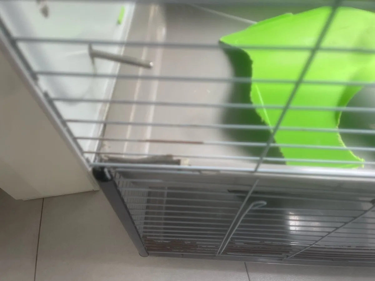 Savic Caeser 3 Double Rabbit Cage - Image 2