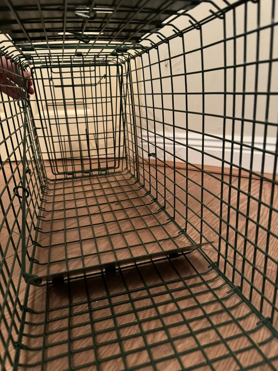 Animal Trap / Cage For Sale - Image 3