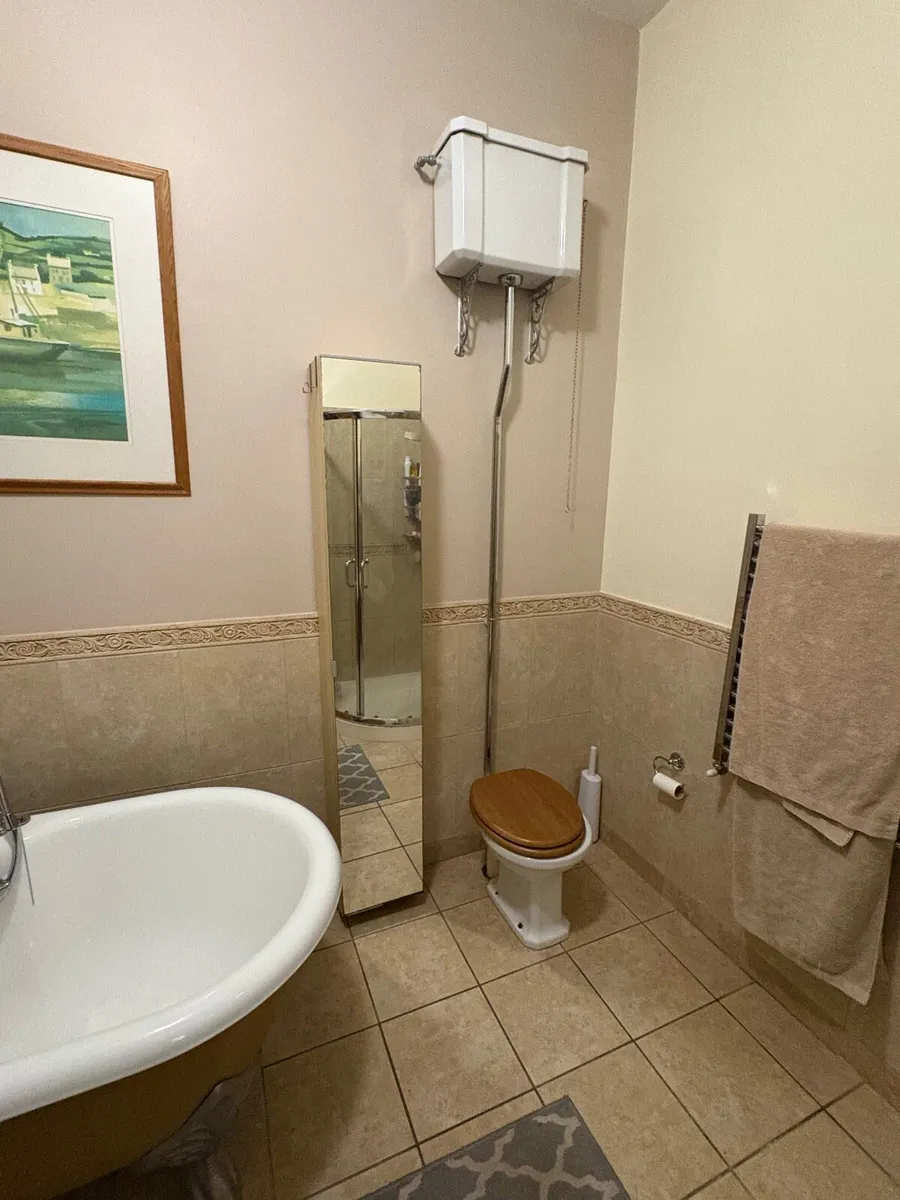 Cast iron bath - Image 3