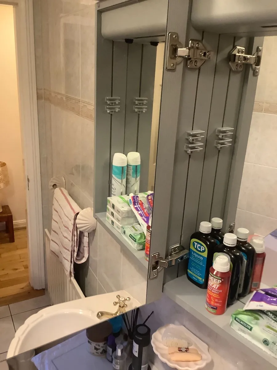 Illuminateed LED BathroomMirror Cabinet by ATHENA - Image 2