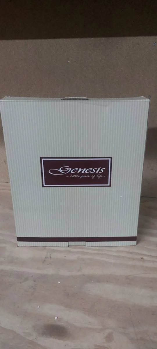 WEDDING PICTURE GENESIS - Image 1