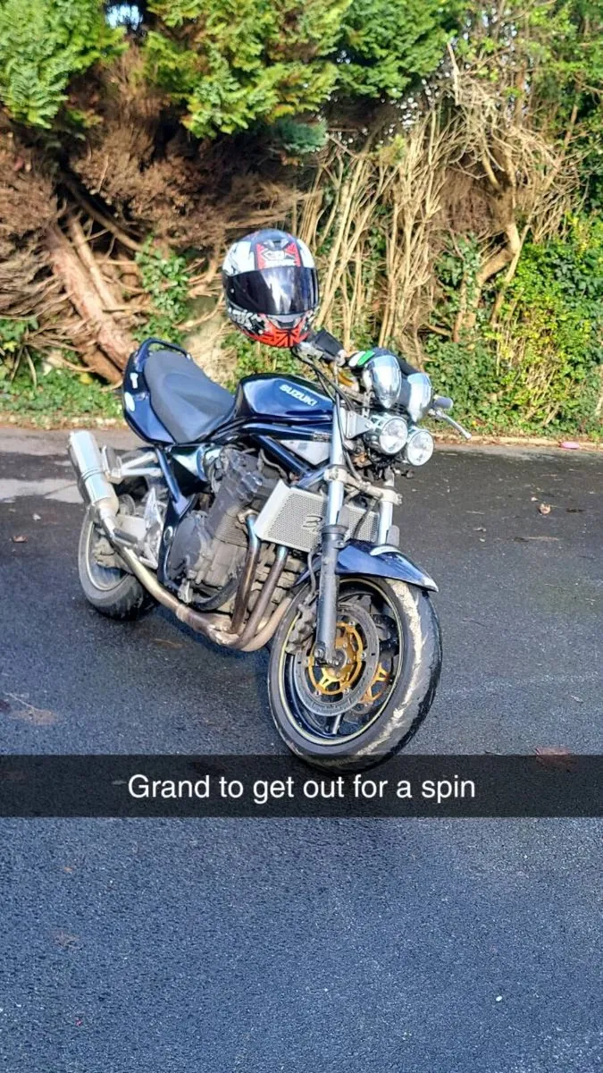 Bandit 1200 - Image 3