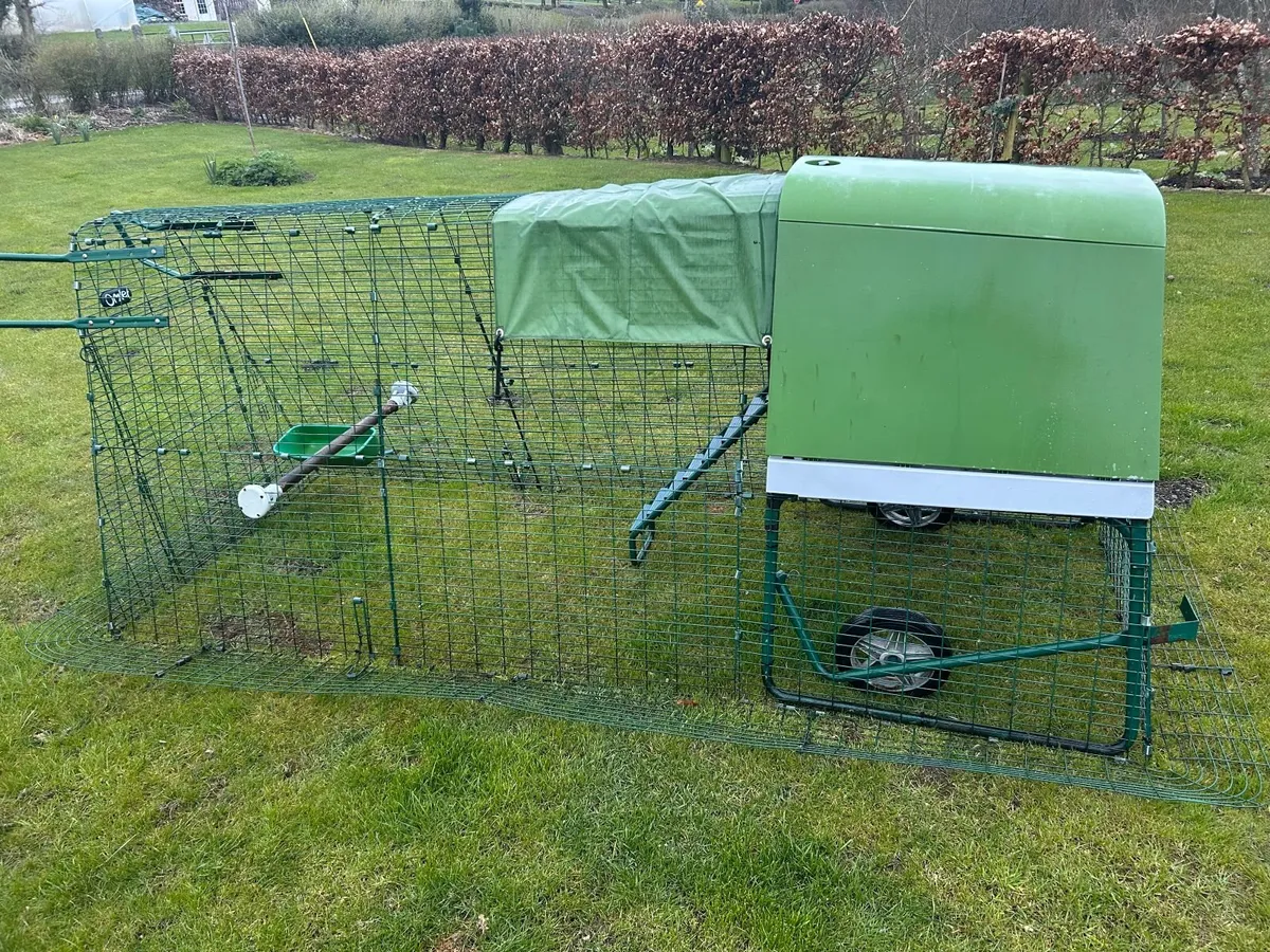 Eglu Chicken Coop - Image 4