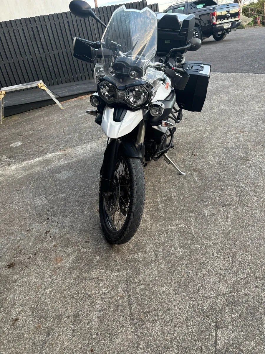 Triumph tiger - Image 3