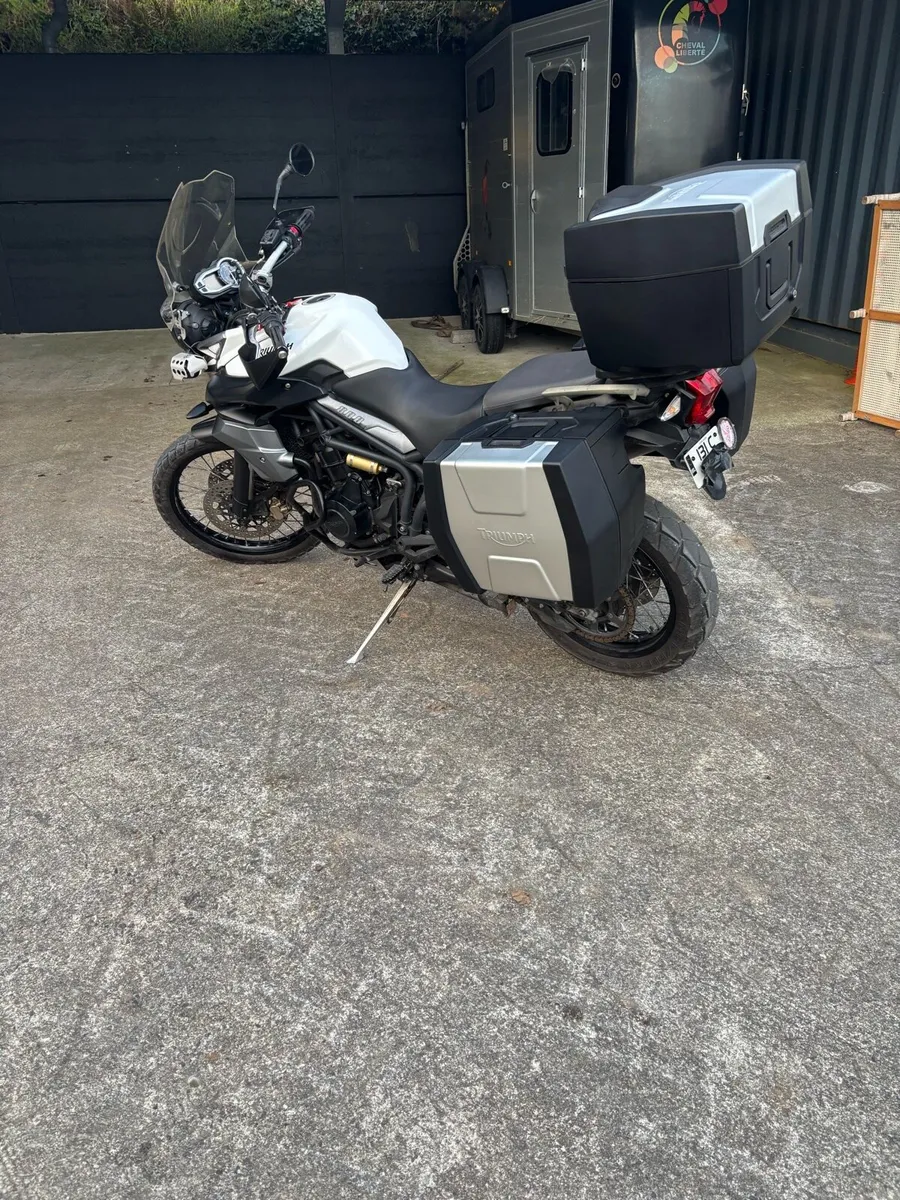 Triumph tiger - Image 1
