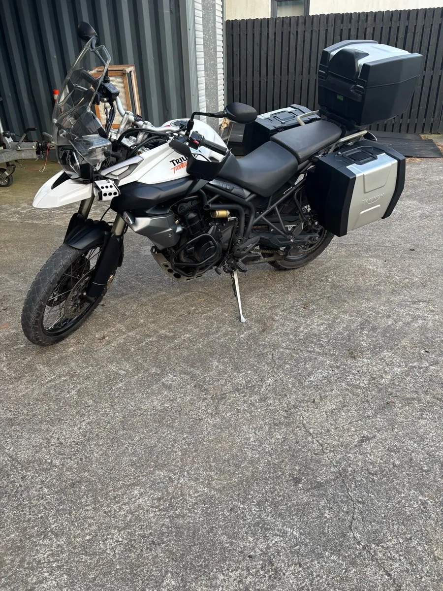 Triumph tiger - Image 2