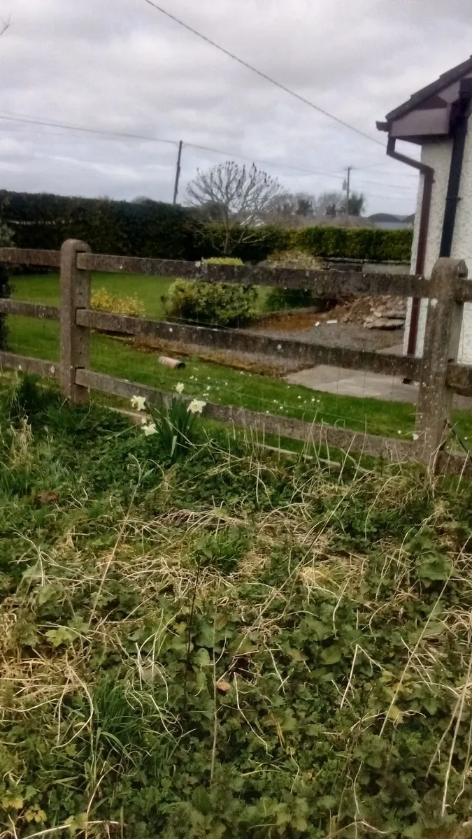 Farm equipment - Image 4