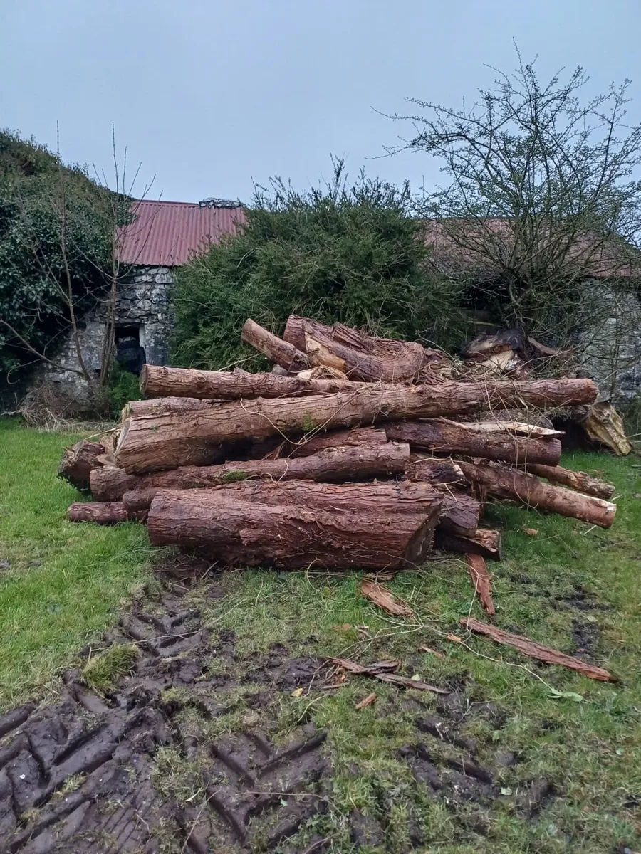 Firewood logs (leylandiis Softwood) - Image 1