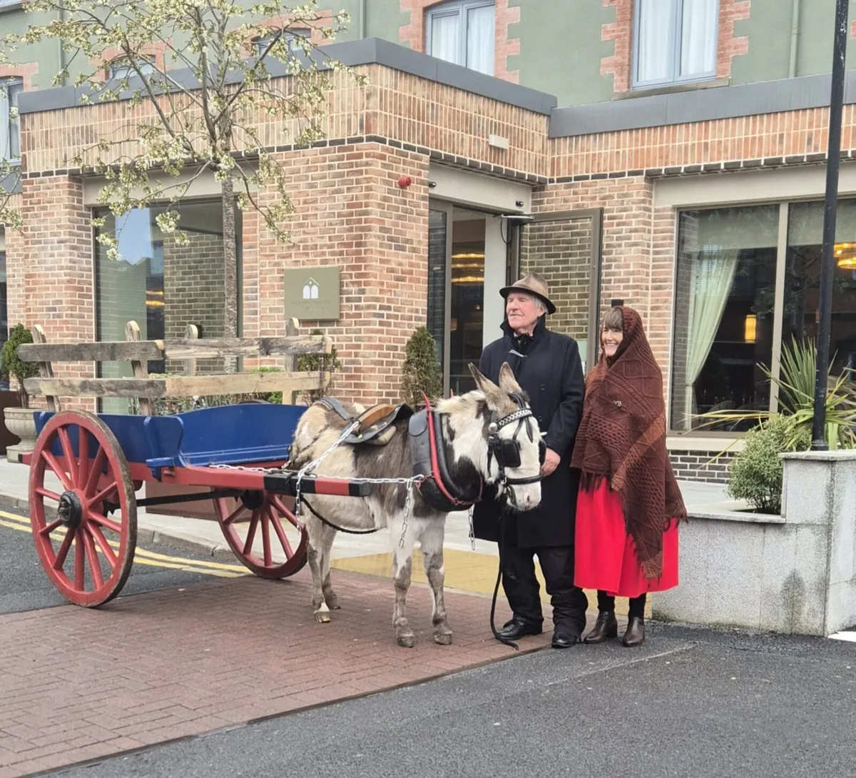 Donkey Cart - Image 1