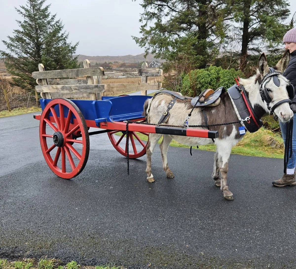 Donkey Cart - Image 2
