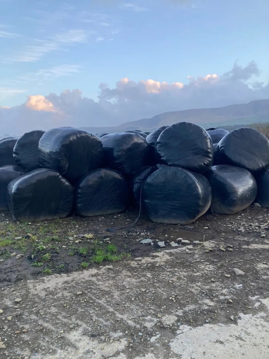 Silage Bales - Image 1