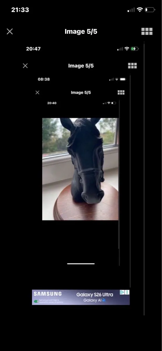 Vintage Horse Head Display - Image 4