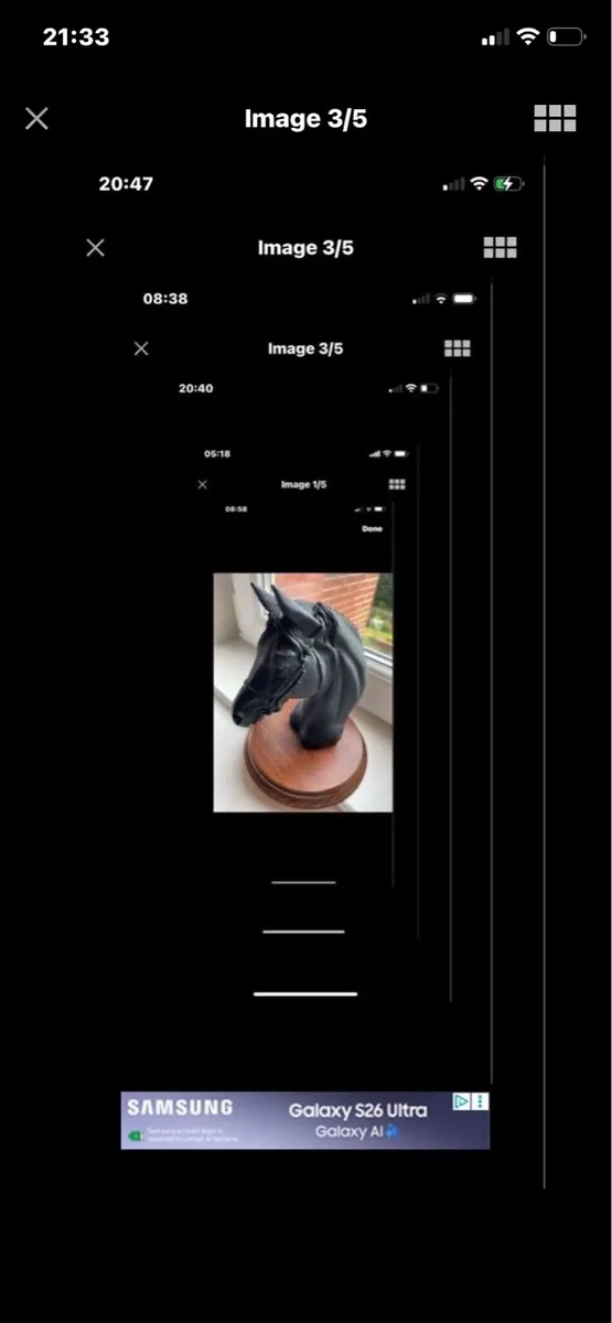 Vintage Horse Head Display - Image 2