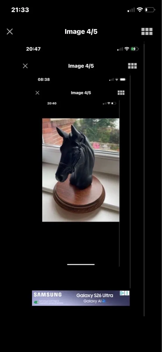 Vintage Horse Head Display - Image 3