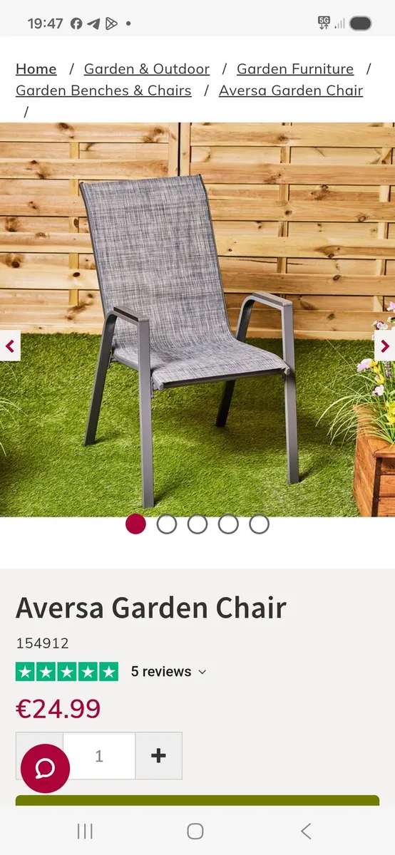 Garden chairs - Image 1